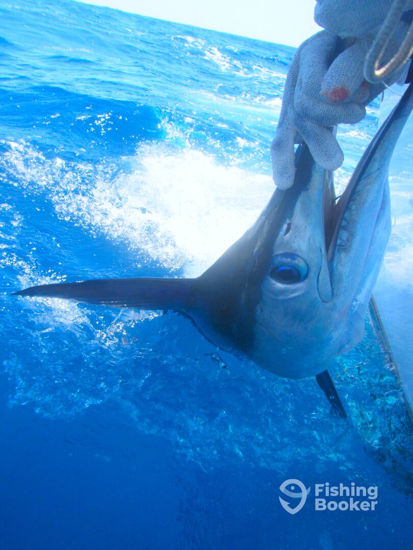 Cabo San Lucas Report Photo 0