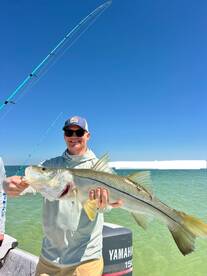 Spring is in full swing in TB 