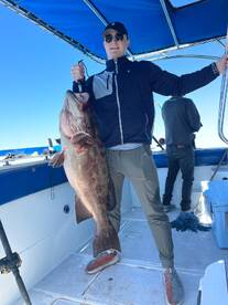 65 Lbs. Grouper 