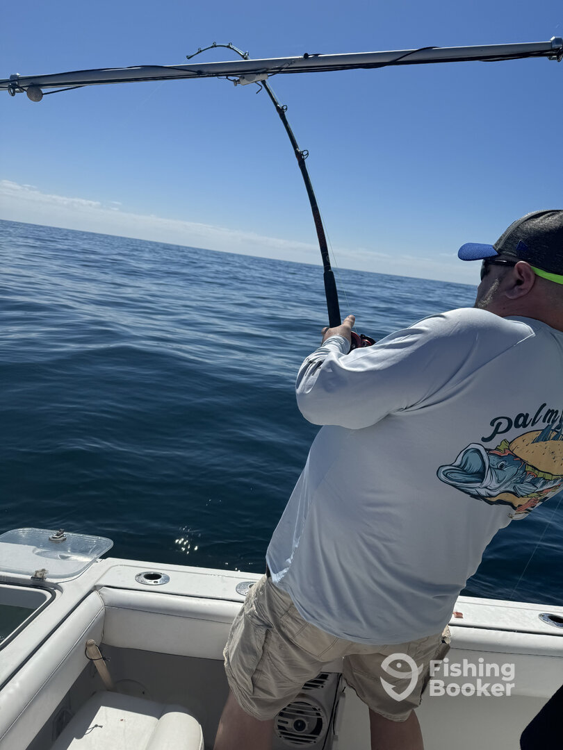 Panama City Report Photo 0