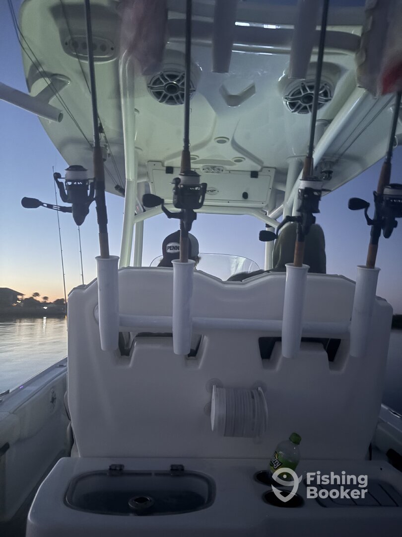 Edgewater Report Photo 0