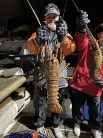 Los Angeles Report Photo 1