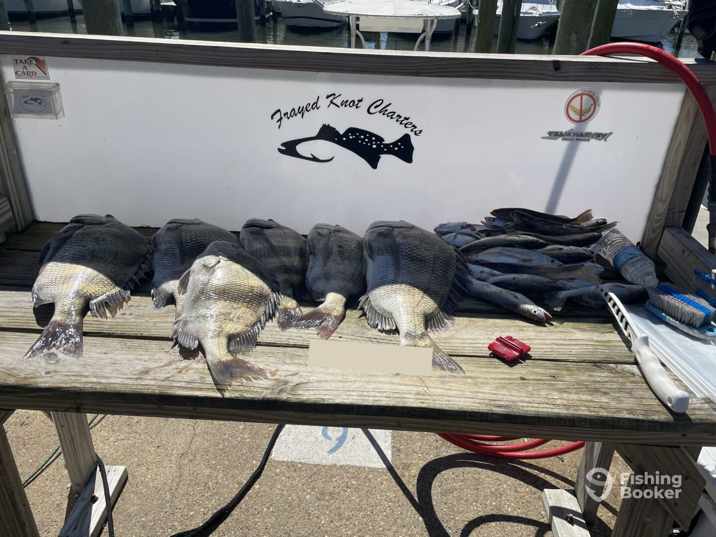 Biloxi Report Photo 0