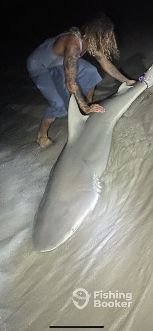 Destin Report Photo 0