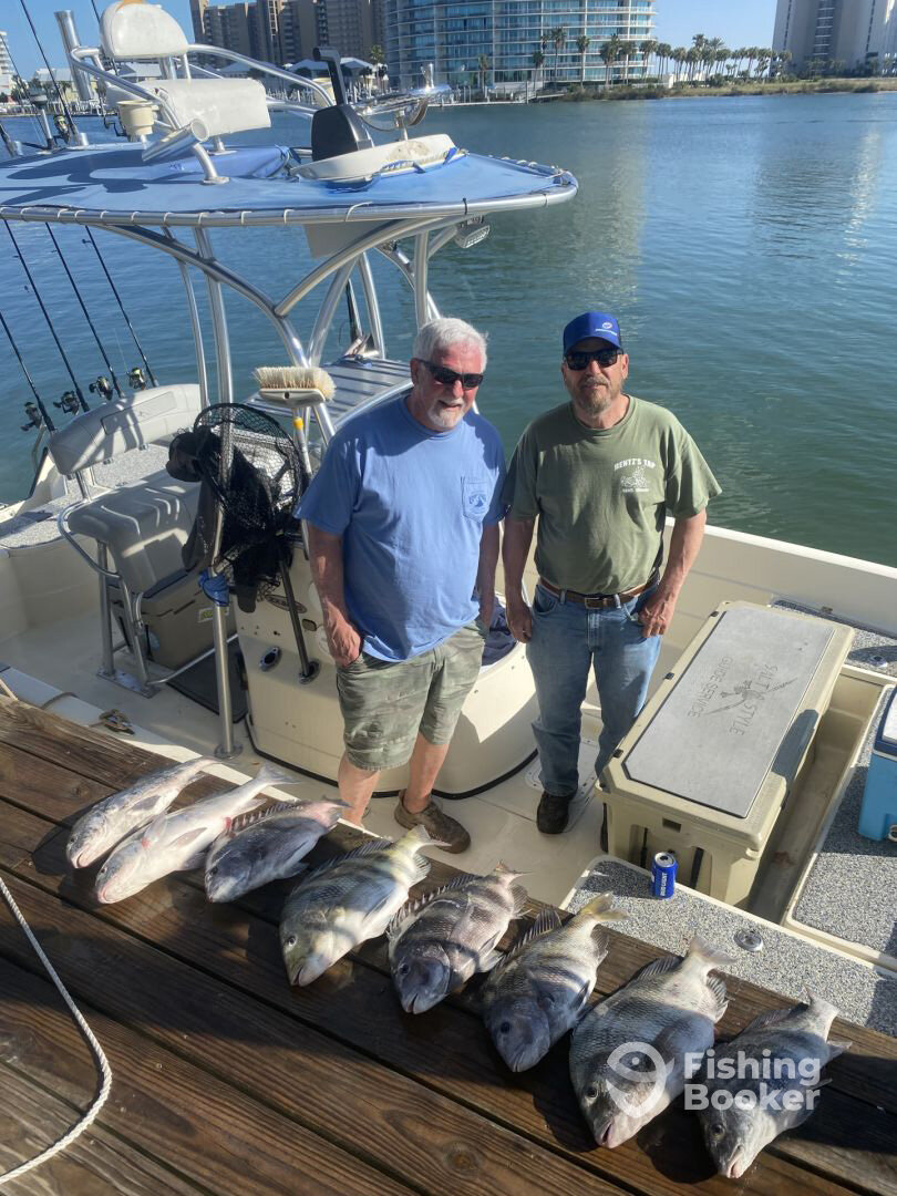 Orange Beach Report Photo 0