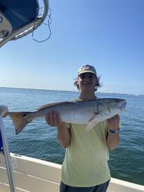 Orange Beach Report Photo 2