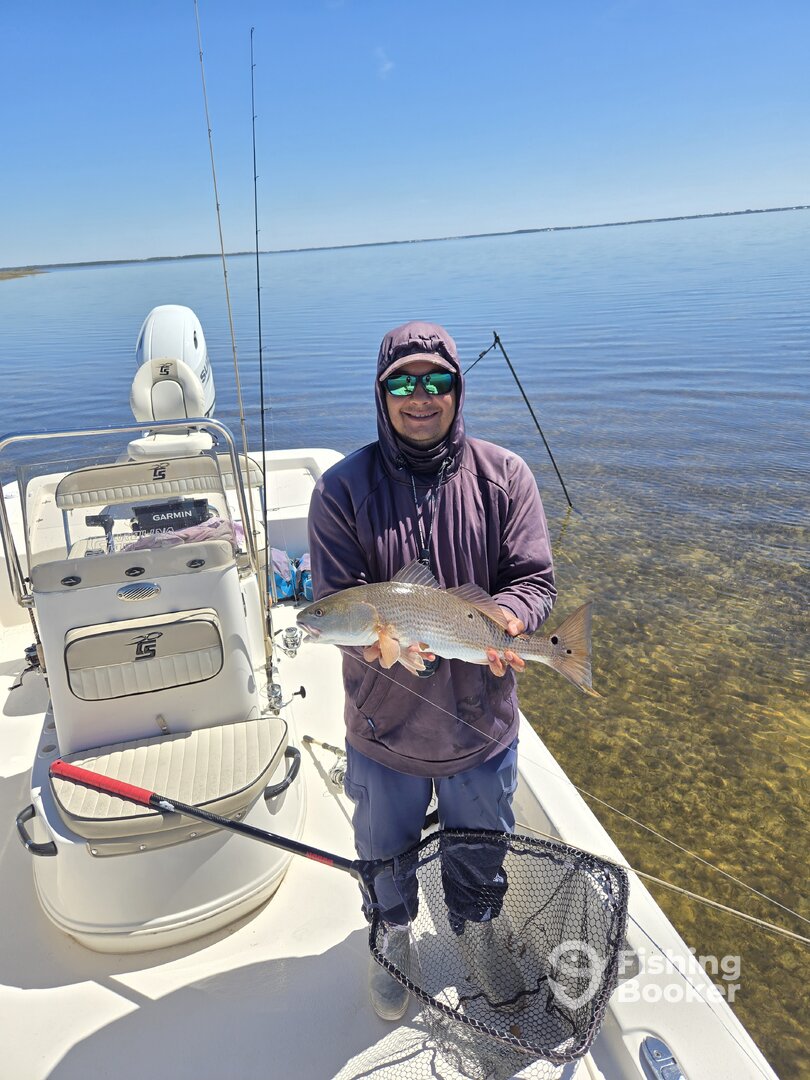 Panama City Report Photo 0