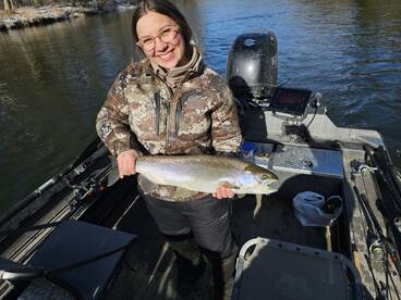 Steelhead are on the move