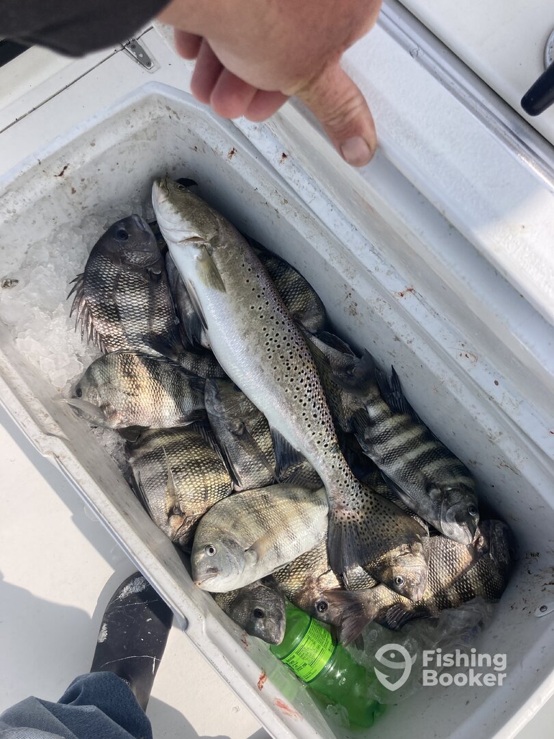 Wanchese Report Photo 0