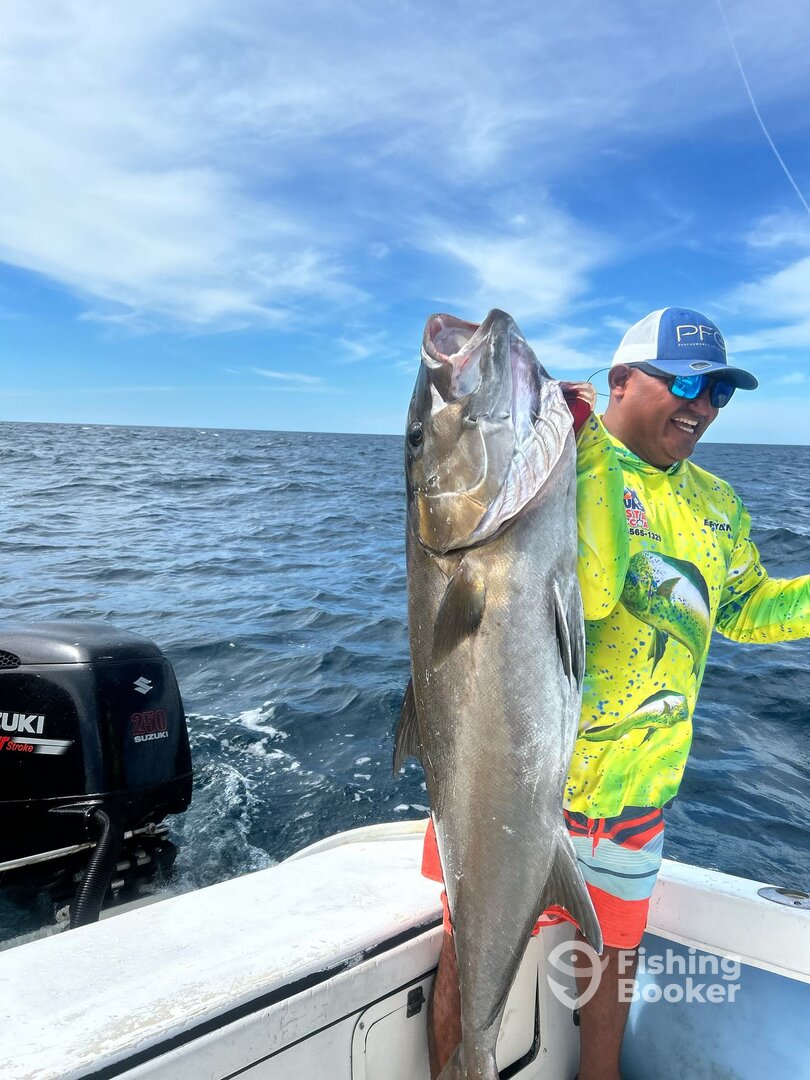 Panamá Report Photo 0