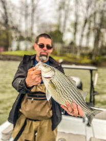 Crystal River Report Photo 2