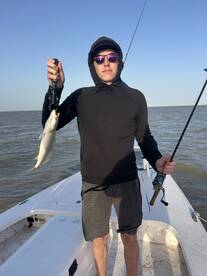 Adrenaline catch today with live bait