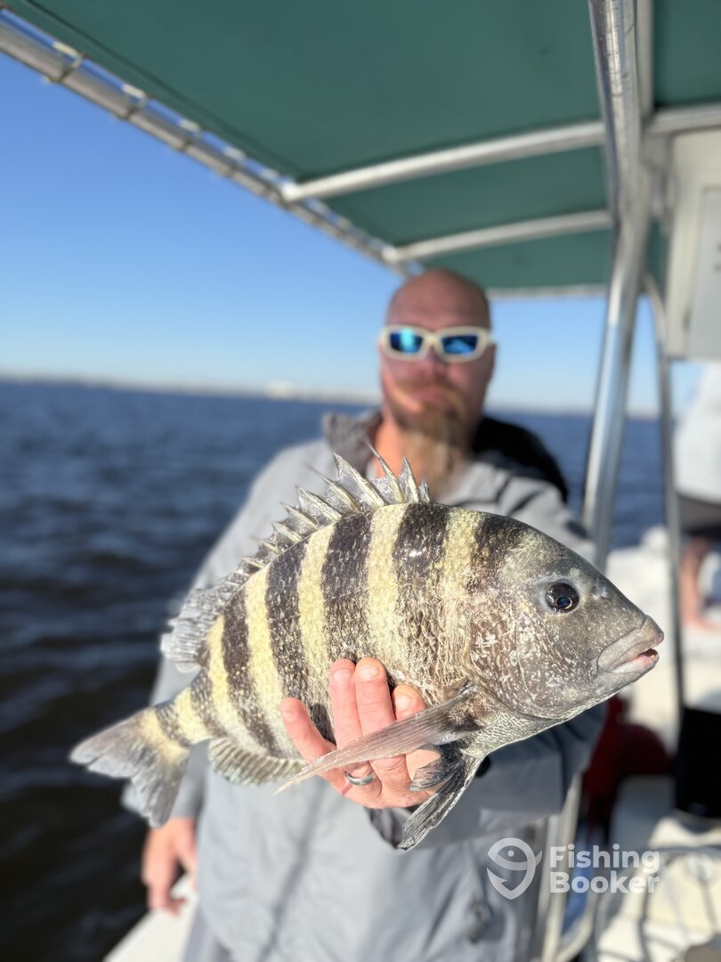 Jacksonville Report Photo 0