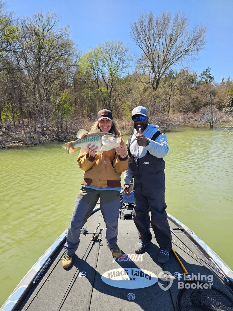 Dallas Report Photo 0