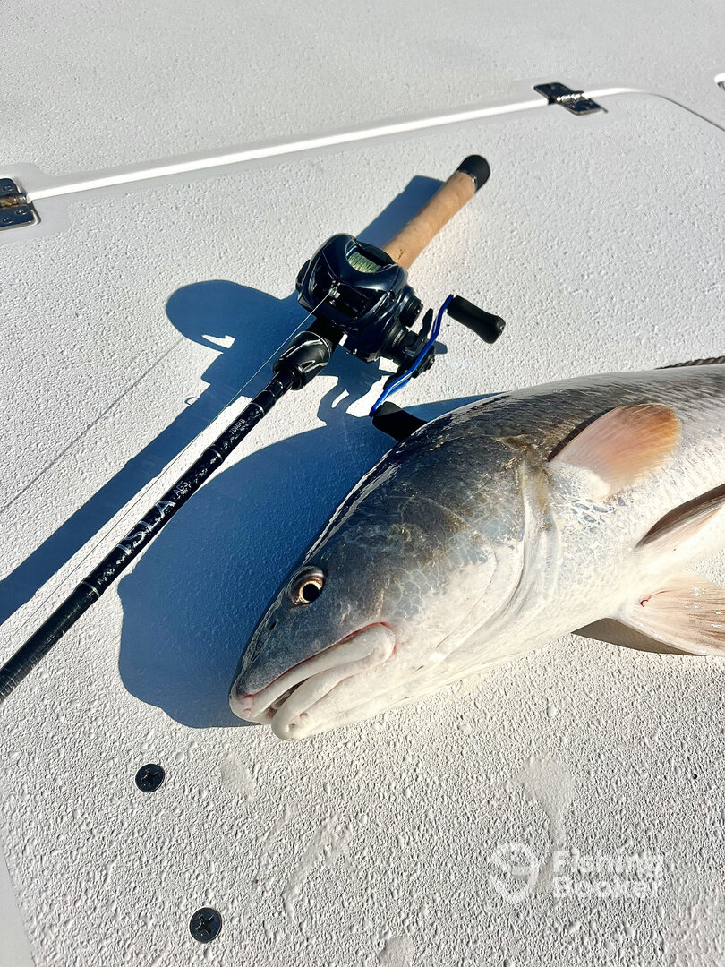 Isle Of Palms Report Photo 0