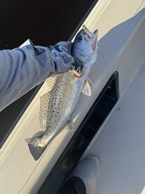 New Bern Report Photo 1