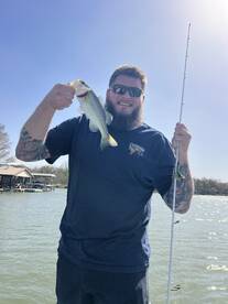 Austin Verslag Foto 2