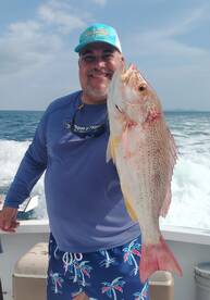 Action! Action! Action! and a great mixe