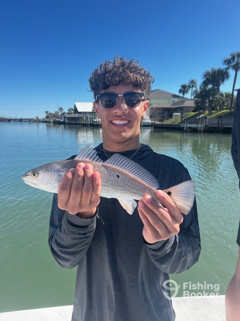 Port Aransas Report Photo 0