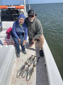 Great Afternoon Trip