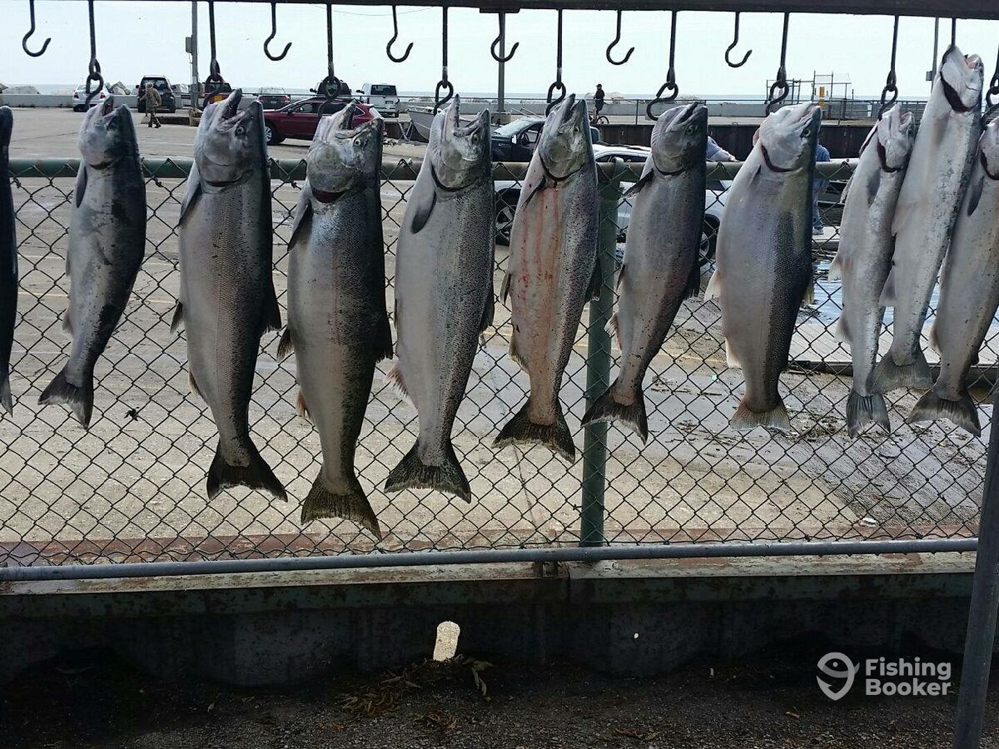 Milwaukee Report Photo 0