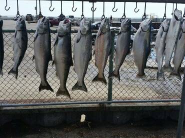 Another great day of catching fish! 