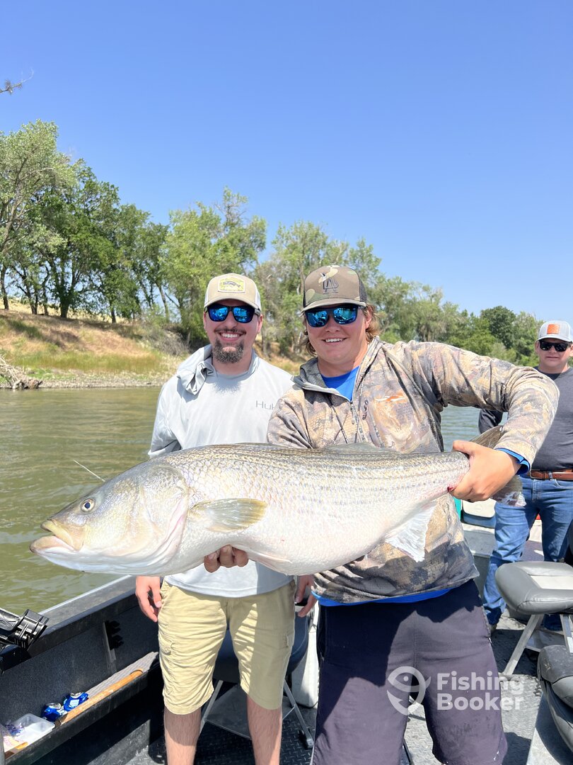 Colusa Report Photo 0