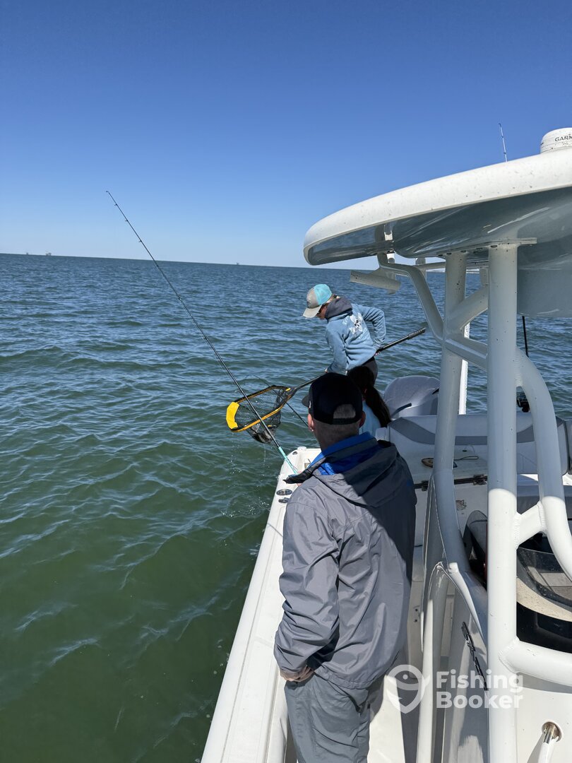 Dauphin Island Report Photo 0