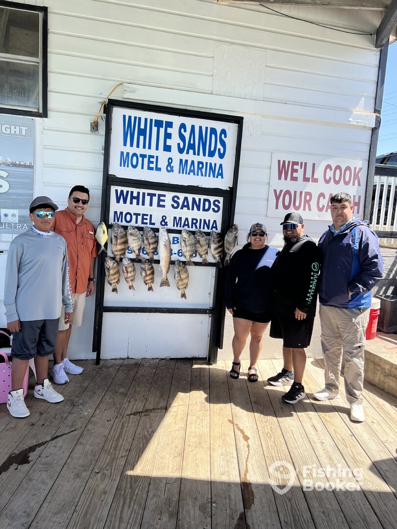 Port Isabel Report Photo 0