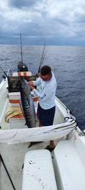 Heavy wahoo maybe 65-70 pounds 