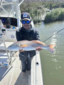 Hilton Head Island Report Photo 2