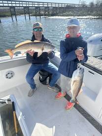 Mount Pleasant Report Photo 1