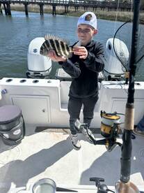 Mount Pleasant Report Photo 2