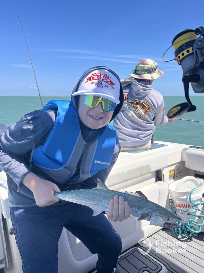 Palmetto Report Photo 0