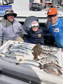 Palmetto Report Photo 1