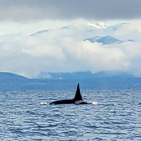 Another Day In Paradise!