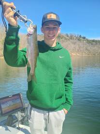 Branson Report Photo 1