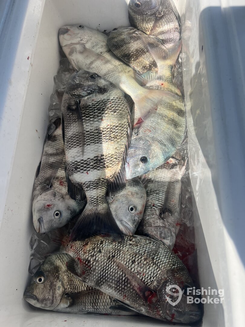 Cape Coral Report Photo 0