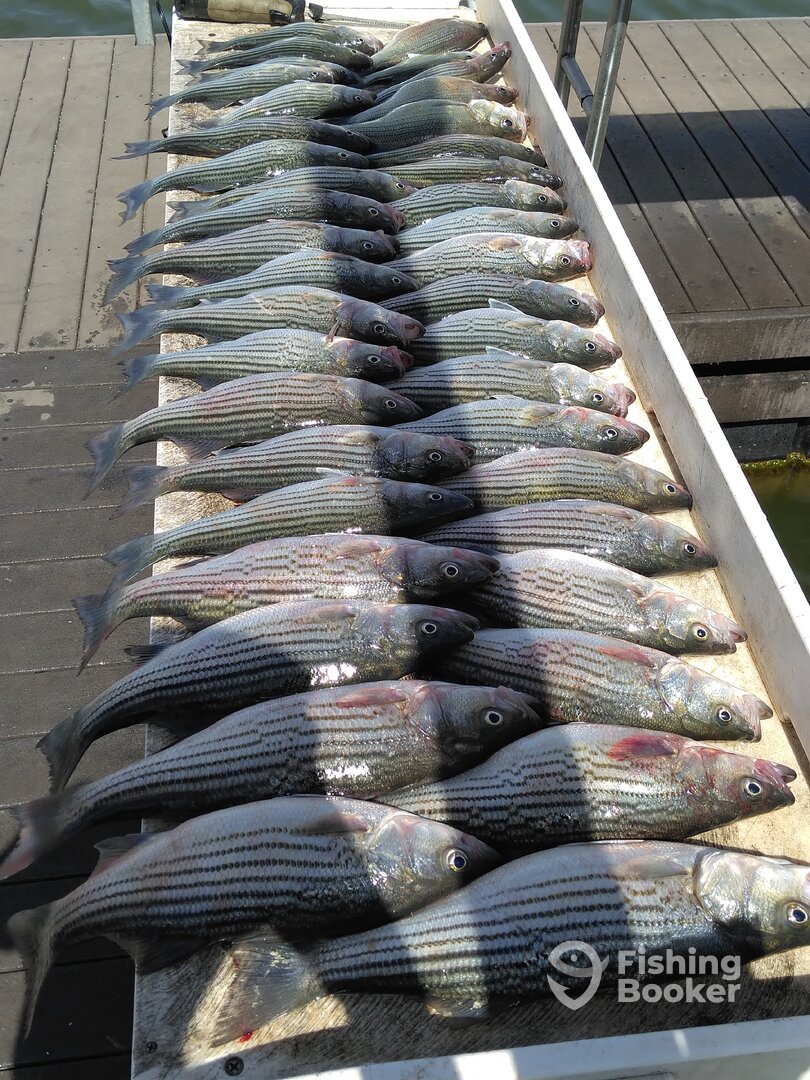 Kingston Report Photo 0