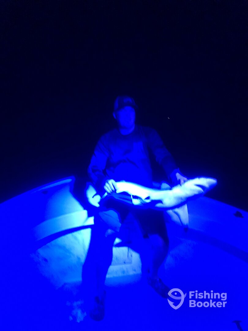 Bonita Springs Report Photo 0