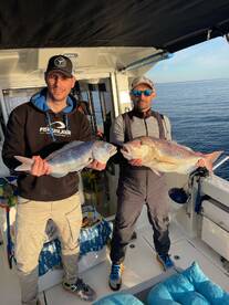 When SPRING starts ?