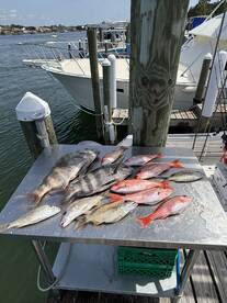 Spring Fishing- heating up