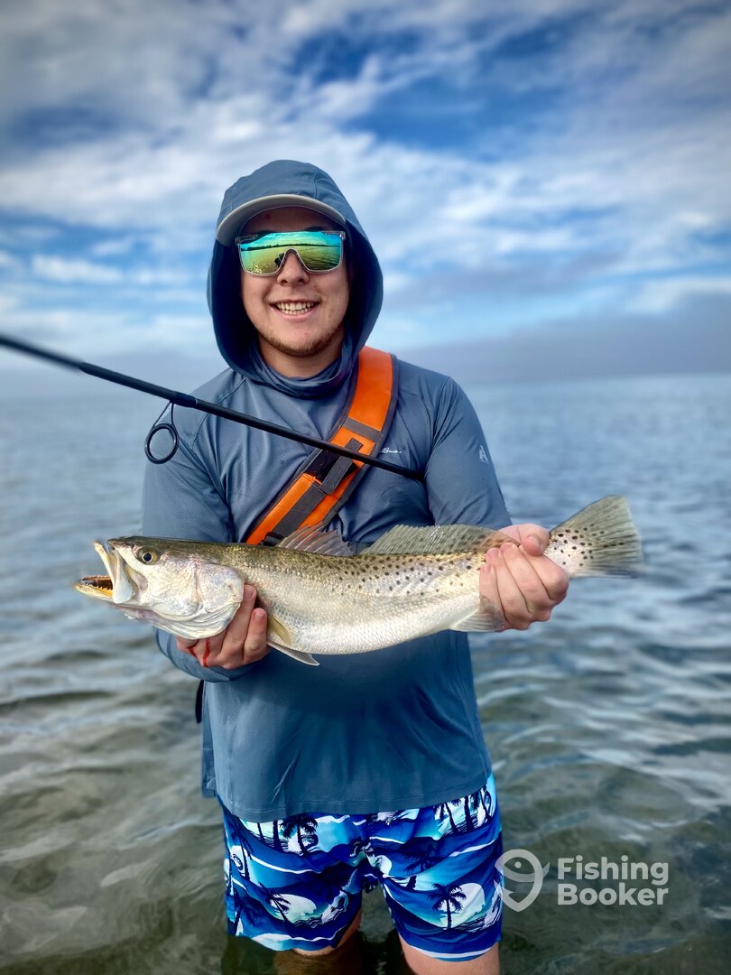 Palmetto Report Photo 0