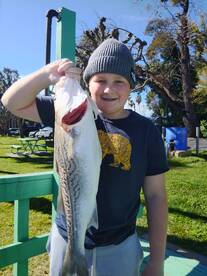 Isleton Report Photo 1