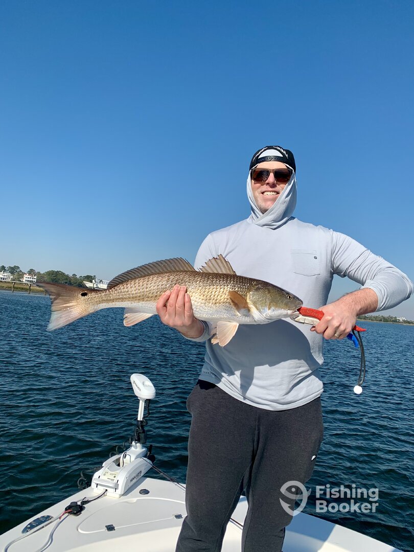 Mount Pleasant Report Photo 0