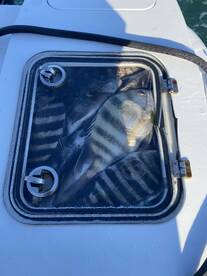 The bite is still on