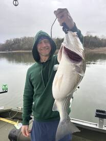 Rutledge Report Photo 2