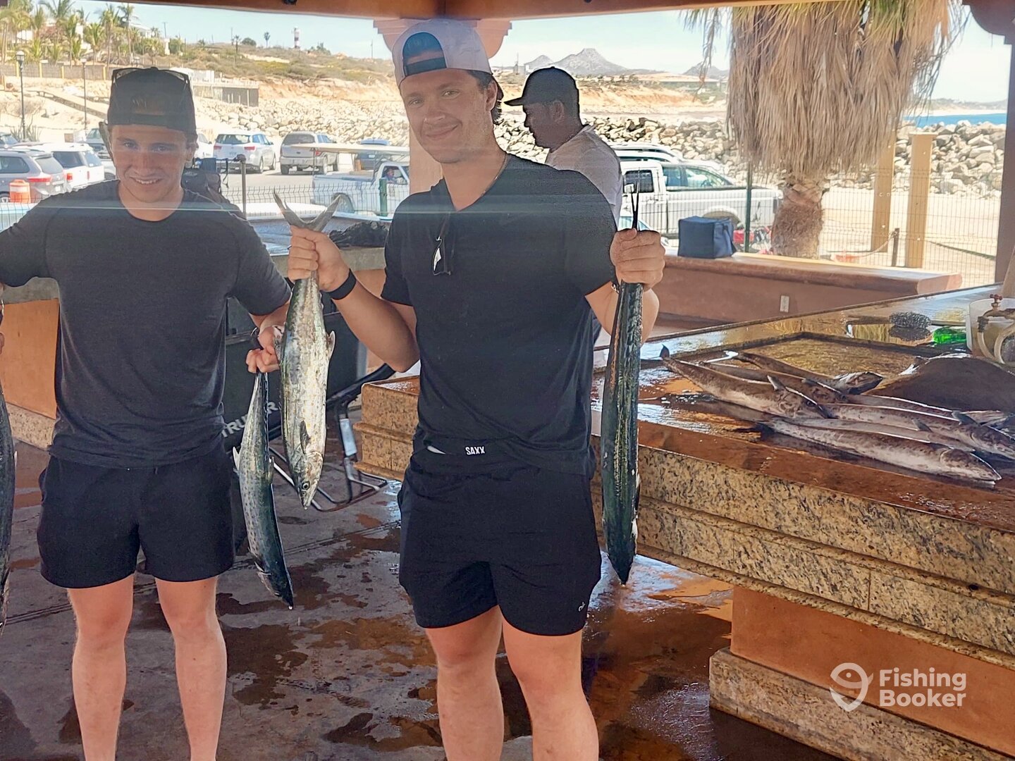 San Jose del Cabo Report Photo 0