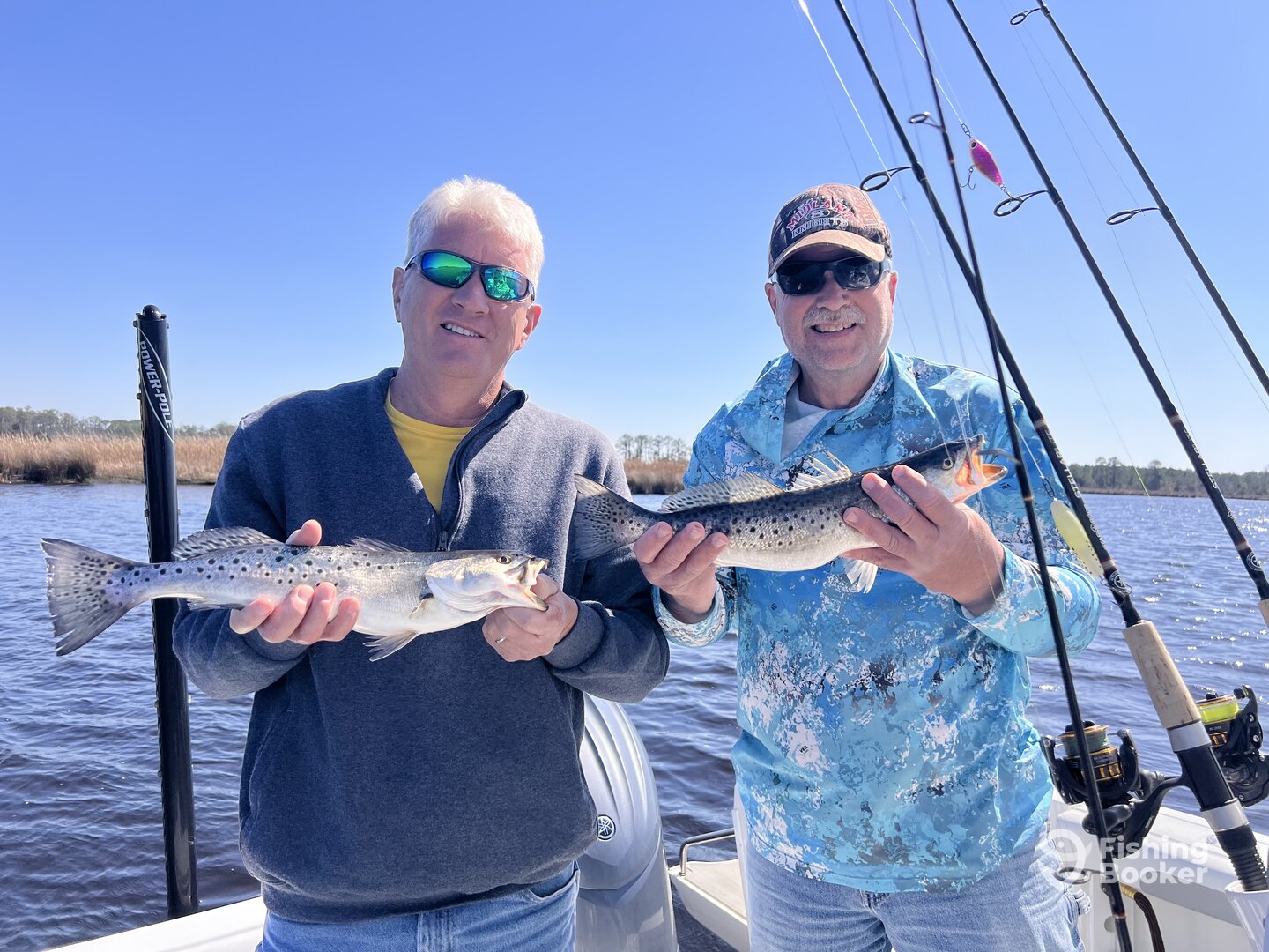 Trent Woods Report Photo 0