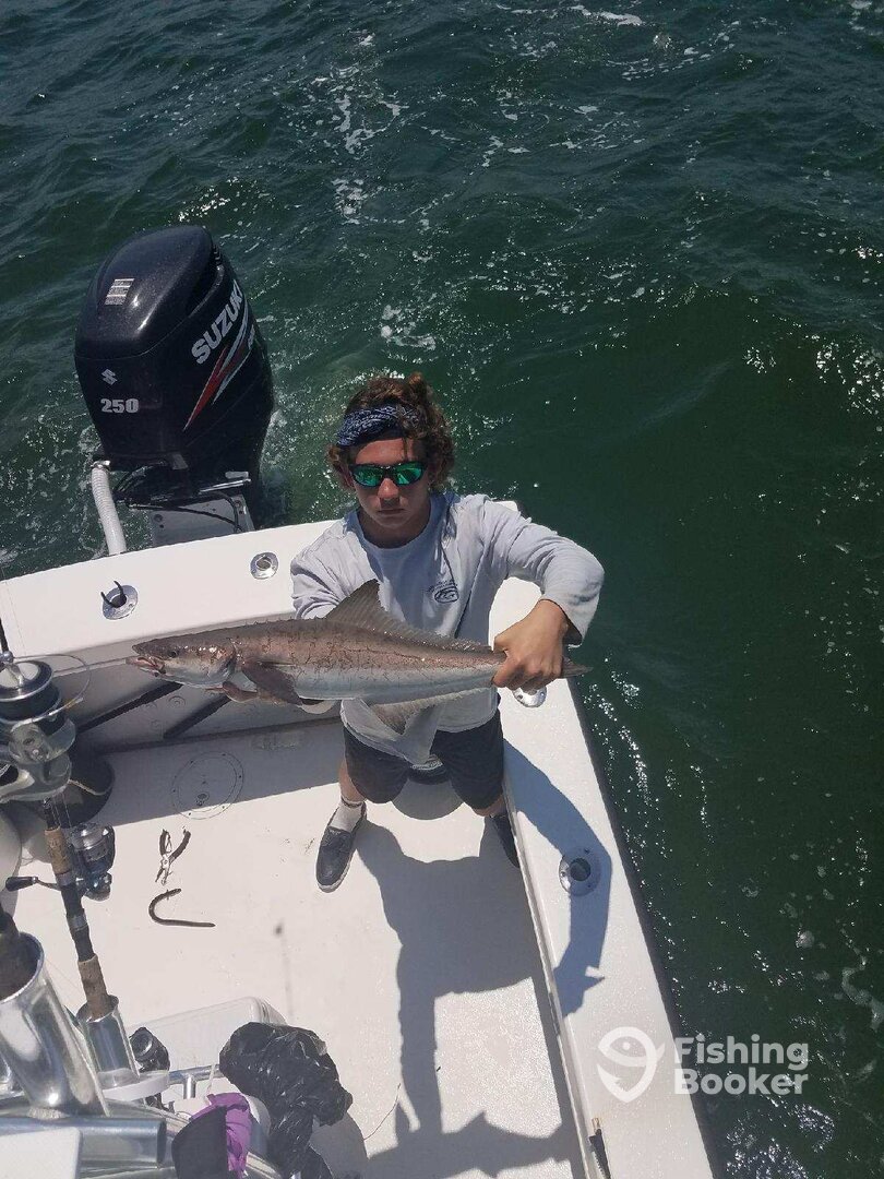 Virginia Beach Report Photo 0